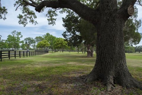 Land in Ocala, Florida № 1796745 - photo 7