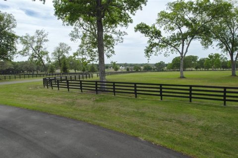 Land in Ocala, Florida № 1796745 - photo 19