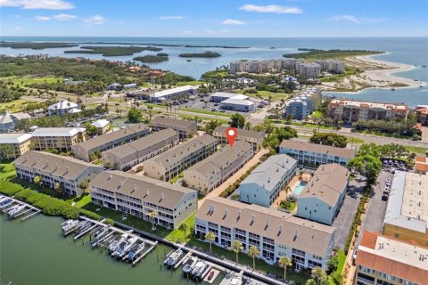 Townhouse in Tierra Verde, Florida 2 bedrooms, 181.16 sq.m. № 1798297 - photo 1