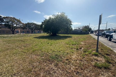 Land in Homestead, Florida № 1745728 - photo 3