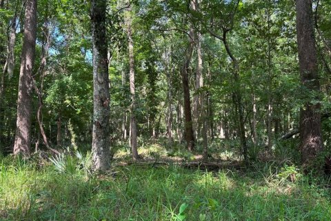 Terrain à vendre à Brooksville, Floride № 2197414 - photo 3