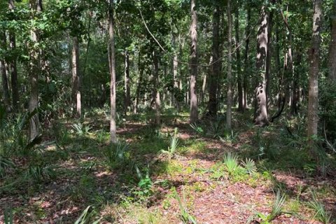 Terrain à vendre à Brooksville, Floride № 2197414 - photo 4