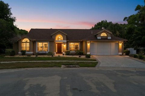 Villa ou maison à vendre à Spring Hill, Floride: 3 chambres, 214.98 m2 № 2138468 - photo 2
