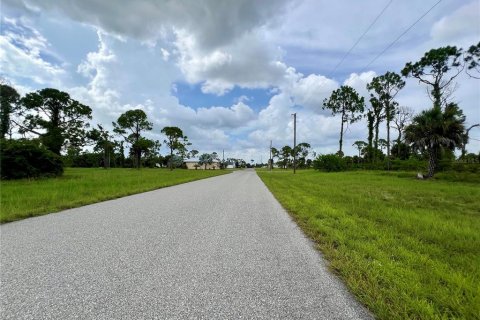 Land in Placida, Florida № 2272967 - photo 3