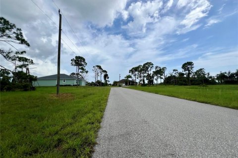 Land in Placida, Florida № 2272967 - photo 2