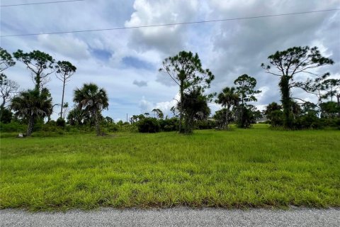 Terrain à Placida, Floride № 2272967