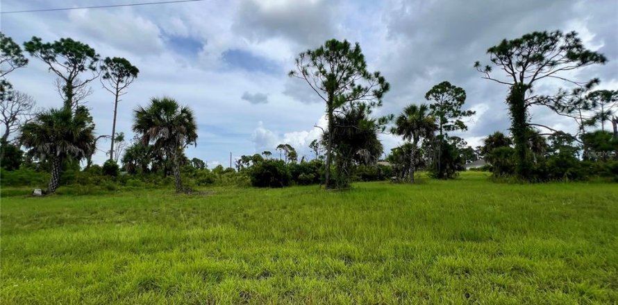 Land in Placida, Florida № 2272967