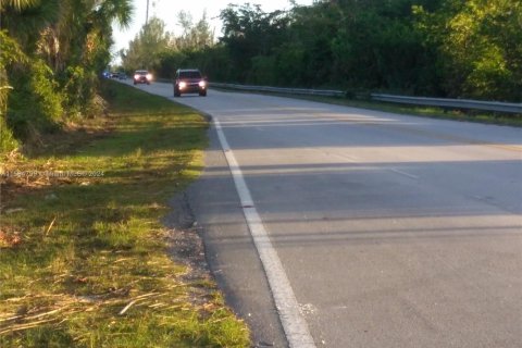 Propiedad comercial en venta en Homestead, Florida № 1764463 - foto 3