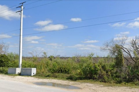 Propiedad comercial en venta en Homestead, Florida № 1764463 - foto 8