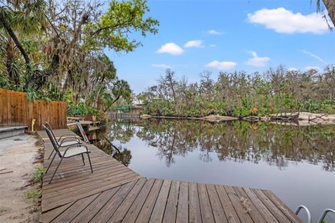 House in Brandon, Florida 4 bedrooms, 149.57 sq.m. № 1556499 - photo 21