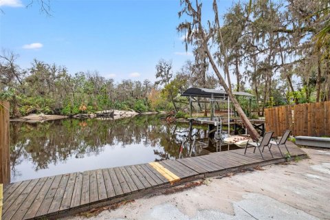House in Brandon, Florida 4 bedrooms, 149.57 sq.m. № 1556499 - photo 22
