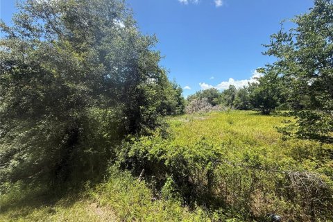 Land in Webster, Florida № 1815557 - photo 3