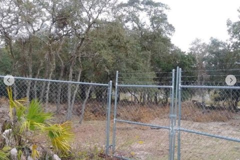 Terreno en alquiler en Weeki Wachee, Florida № 1842125 - foto 2