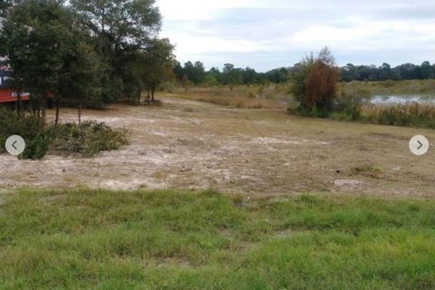 Terreno en alquiler en Weeki Wachee, Florida № 1842125 - foto 5