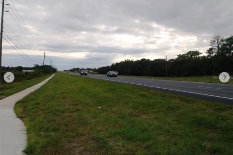 Terreno en alquiler en Weeki Wachee, Florida № 1842125 - foto 7