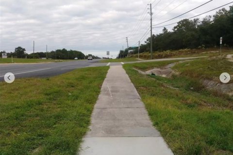 Terreno en alquiler en Weeki Wachee, Florida № 1842125 - foto 8