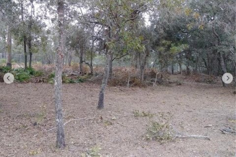 Terreno en alquiler en Weeki Wachee, Florida № 1842125 - foto 3