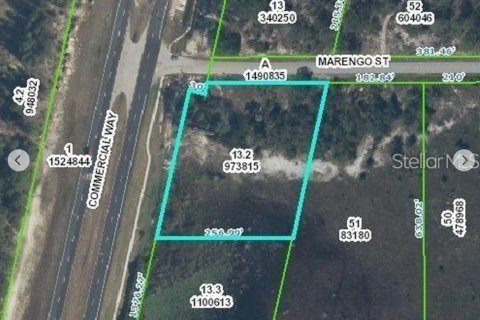 Terreno en alquiler en Weeki Wachee, Florida № 1842125 - foto 1