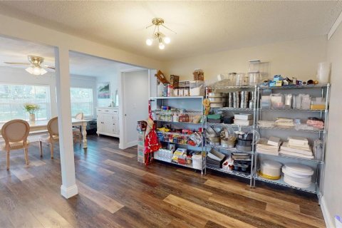 House in Dunedin, Florida 3 bedrooms, 174.01 sq.m. № 2223141 - photo 29