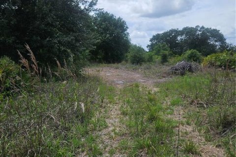 Land in Arcadia, Florida № 2209770