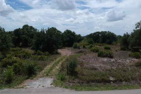 Terrain à vendre à Arcadia, Floride № 2209770 - photo 2