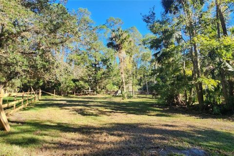 Land in Bunnell, Florida № 2306342 - photo 16