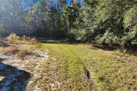 Land in Bunnell, Florida № 2306342 - photo 6