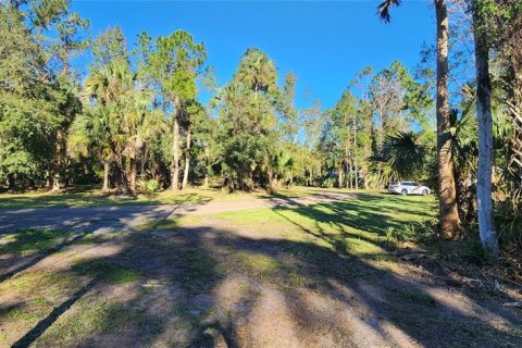 Land in Bunnell, Florida № 2306342 - photo 9
