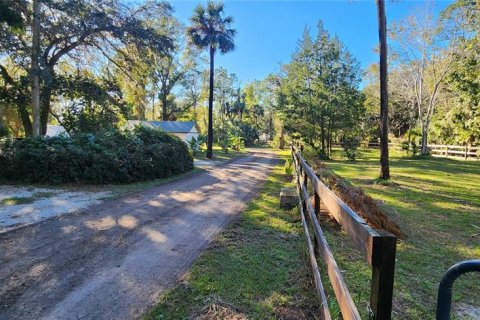 Land in Bunnell, Florida № 2306342 - photo 2