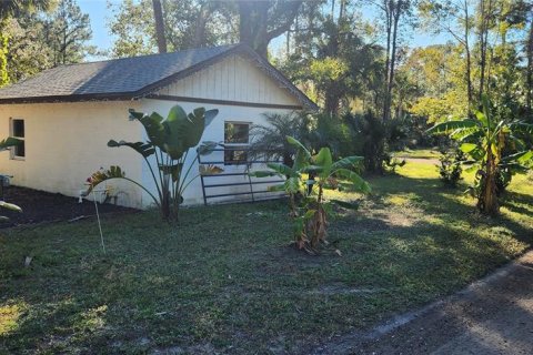 Land in Bunnell, Florida № 2306342 - photo 11