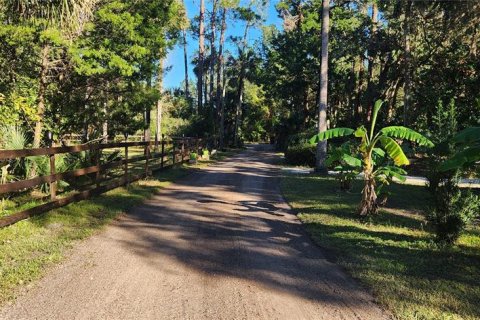 Land in Bunnell, Florida № 2306342 - photo 13