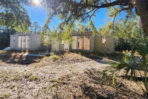 Land in Bunnell, Florida № 2306342 - photo 5