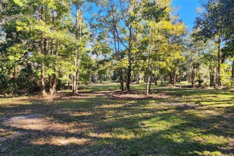 Land in Bunnell, Florida № 2306342