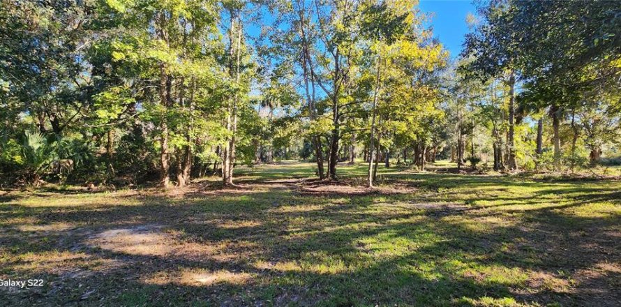 Land in Bunnell, Florida № 2306342