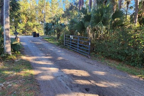 Land in Bunnell, Florida № 2306342 - photo 3