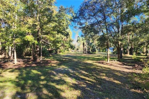 Land in Bunnell, Florida № 2306342 - photo 4