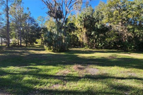 Land in Bunnell, Florida № 2306342 - photo 14