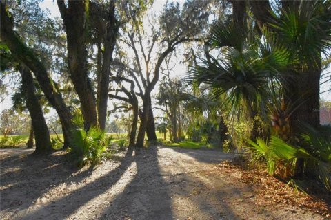 Casa en venta en Micanopy, Florida, 3 dormitorios, 158.03 m2 № 1568457 - foto 28