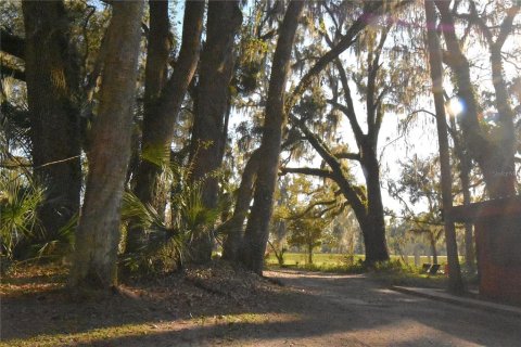 Casa en venta en Micanopy, Florida, 3 dormitorios, 158.03 m2 № 1568457 - foto 27