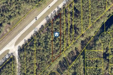 Land in DeLand, Florida № 2159056 - photo 2