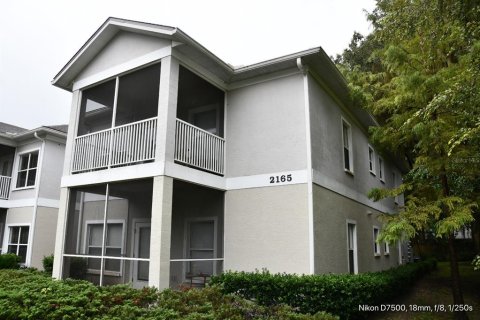 Adosado en alquiler en Gainesville, Florida, 1 dormitorio, 65.03 m2 № 1904119 - foto 1