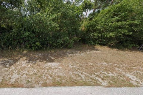 Land in Port Charlotte, Florida № 2163167