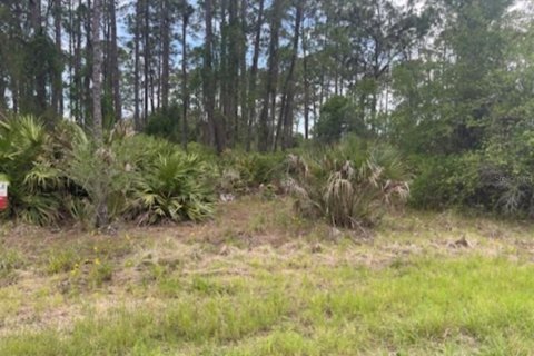 Land in North Port, Florida № 2165717 - photo 3