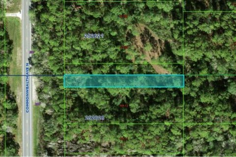 Land in Polk City, Florida № 2202845