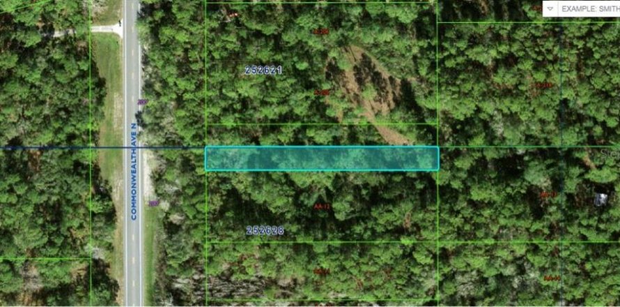 Land in Polk City, Florida № 2202845
