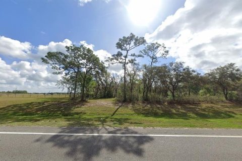 Land in Polk City, Florida № 2202845 - photo 2