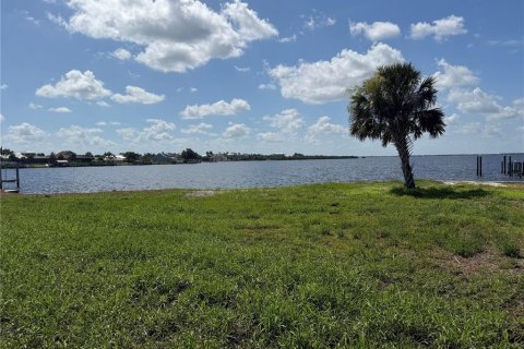 Terrain à vendre à Port Charlotte, Floride № 2167840 - photo 23