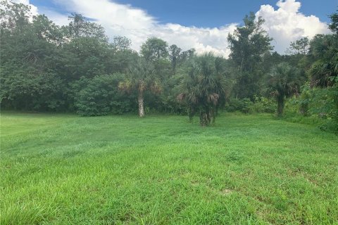 Terrain à vendre à Ocala, Floride № 1870743 - photo 4