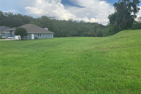 Terrain à vendre à Ocala, Floride № 1870743 - photo 5