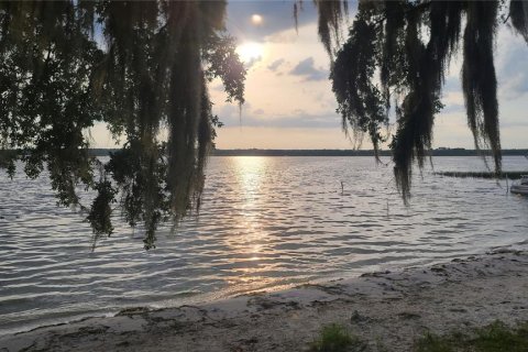 Land in Salt Springs, Florida № 1422560 - photo 22